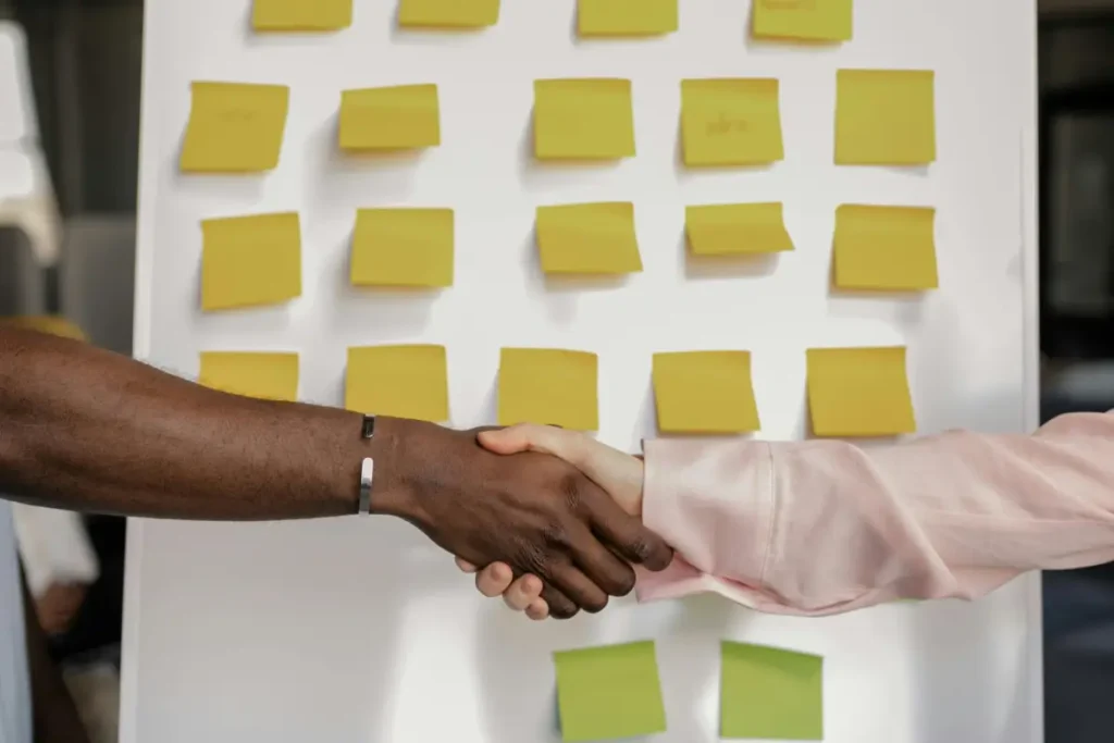 19 Paws Marketing - Services