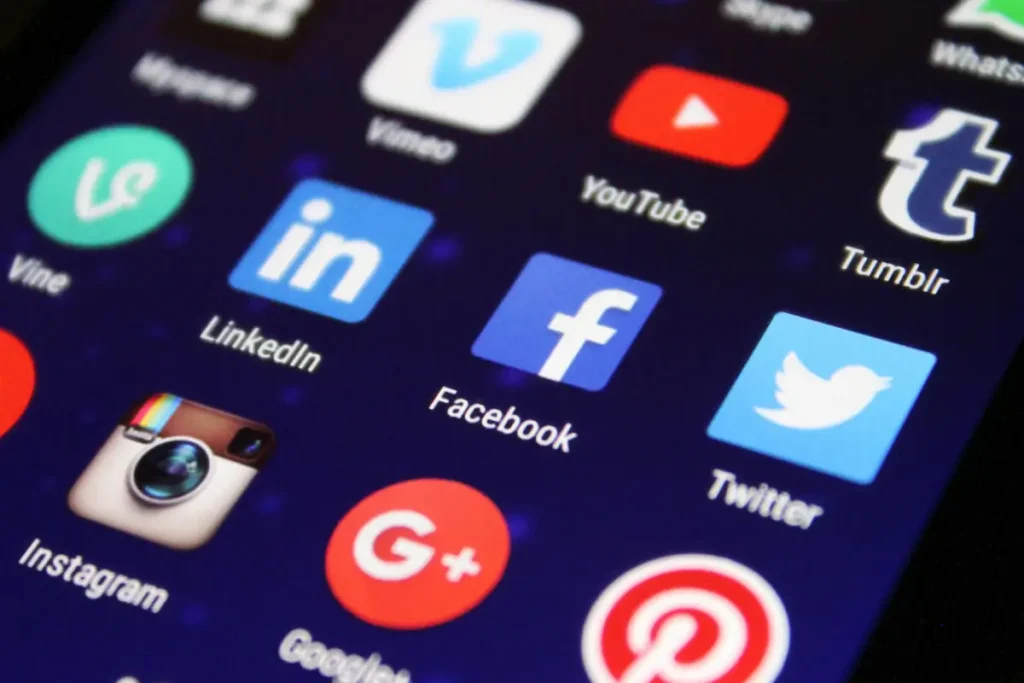 19 Paws Marketing - Services