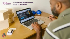 19 Paws Marketing - Website Essential