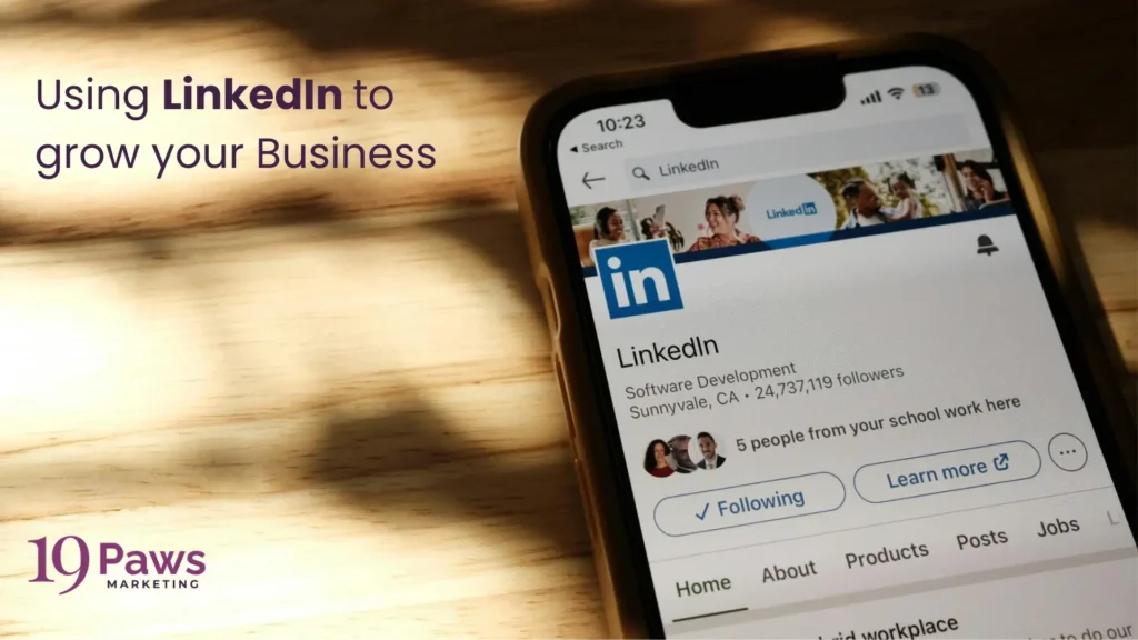 19 Paws Marketing - LinkedIn for Business