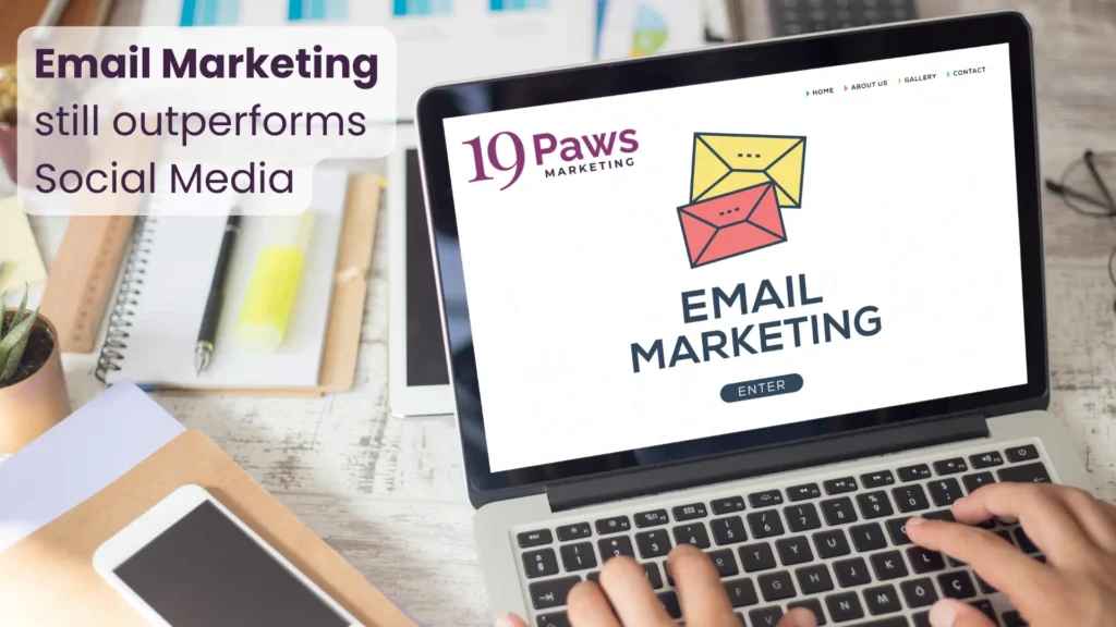 19 Paws Marketing - Email