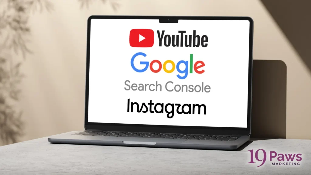 19 Paws Marketing - Google Search Console