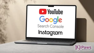 19 Paws Marketing - Google Search Console