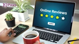 19 Paws Marketing - Online Reviews