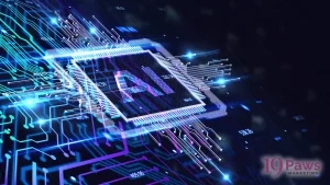 19 Paws Marketing - AI Disclosure