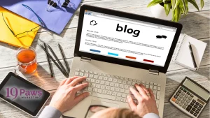 19 Paws Marketing - Blogging