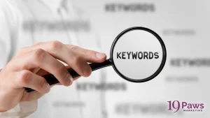 19 Paws Marketing - Keyword Research